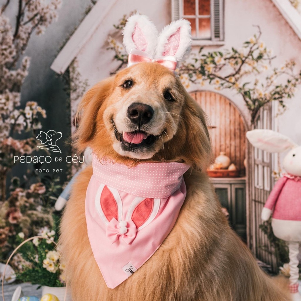 Conjunto de Bandana para Pet Páscoa orelhinha rosa com Botão de Pressão Animaliê E ORELHA