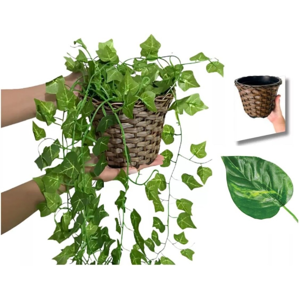 Arranjo C/ 3 Trepadeira + Vaso Trançado Marrom (Folhas de Jiboia & Hera)