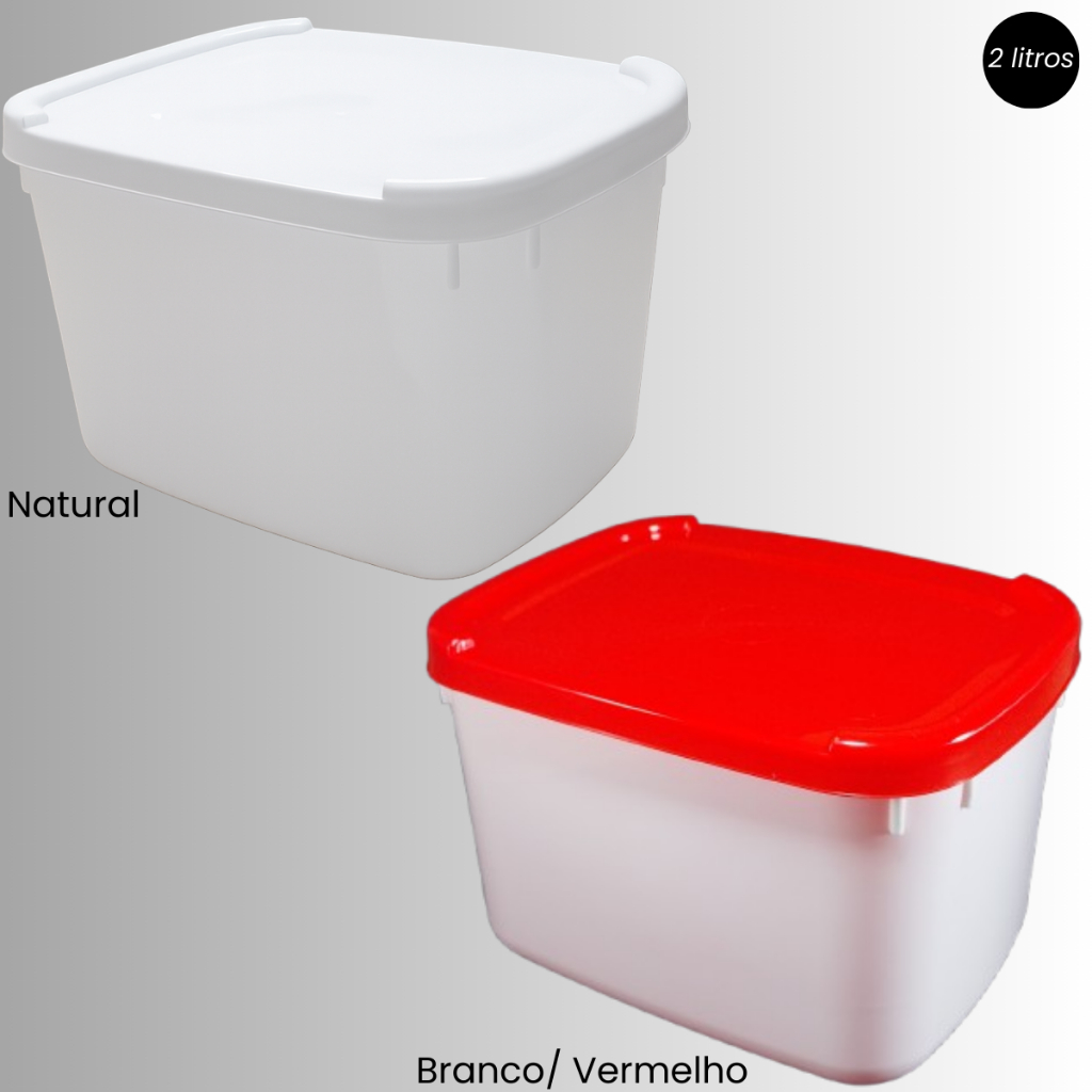 Kit 10 Und | Pote 2L com Tampa – Ideal para Sorvete, Açaí, Sobremesas e Alimentos em Oferta na Shopee