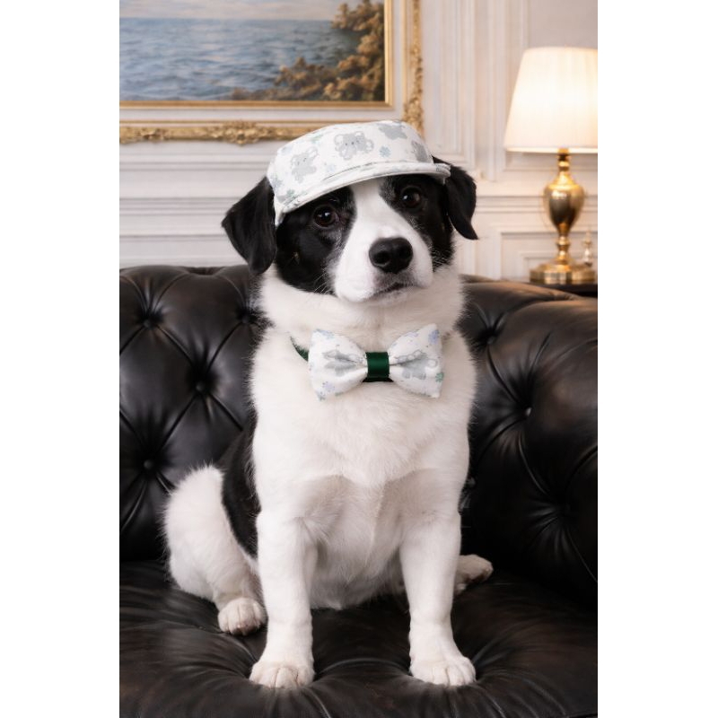 Boné Pet PP ao GG com Elástico e Regulador + Gravata Borboleta Unissex|Estampa elefantes | Kit Acessório Cachorro