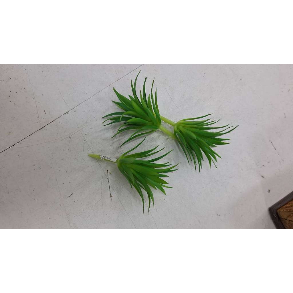 suculenta artificial