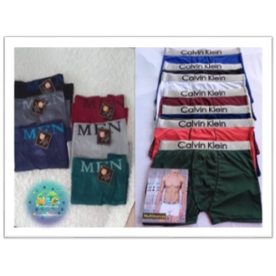 Cueca Boxer Poliamida e Microfibra Masculina Premium - Adulto - Toque Gelado e Conforto Sem Costura