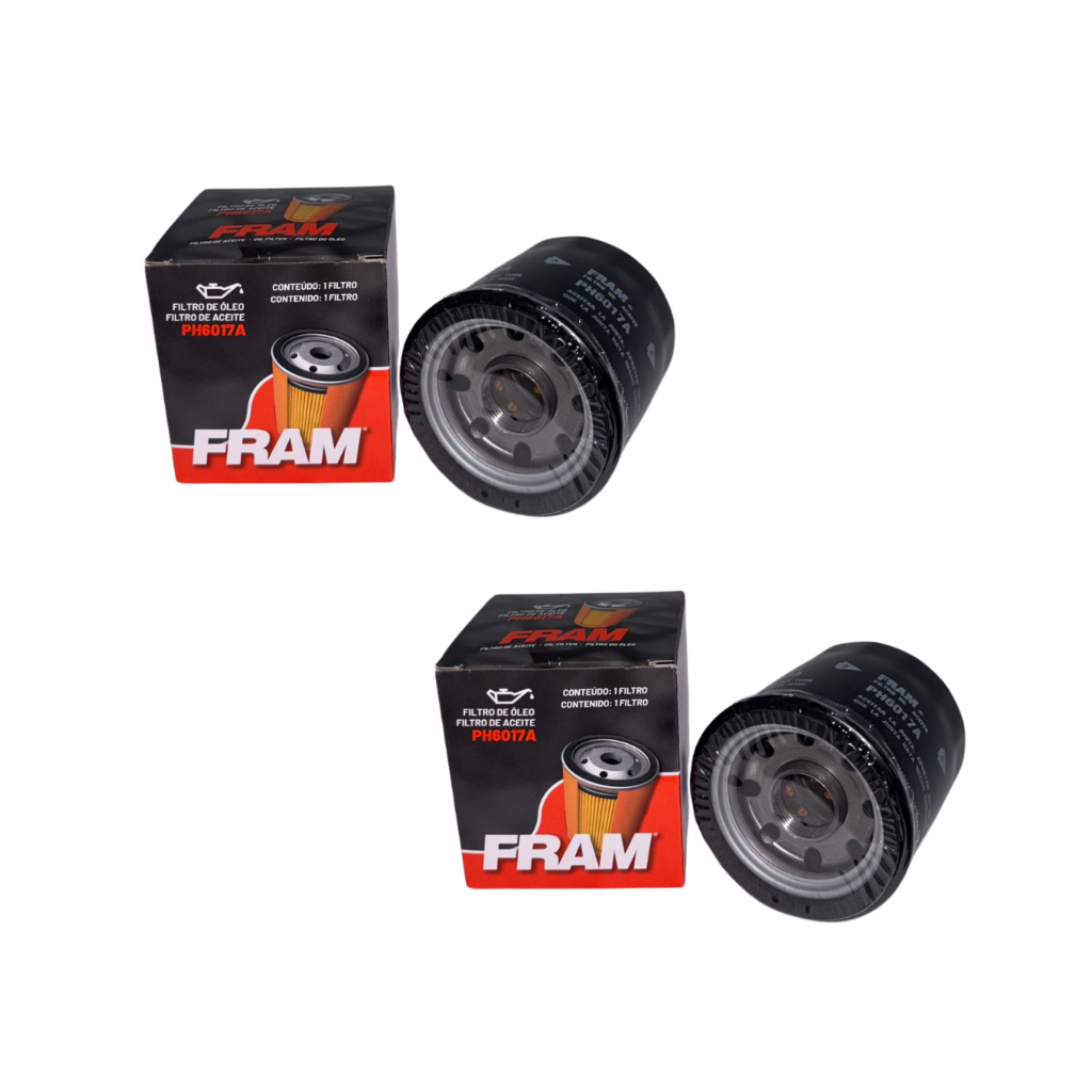2 Filtros De Oleo Ph6017a Hornet Cb500 Cbr600 Shadow Xj6 Er6 em Oferta na Shopee