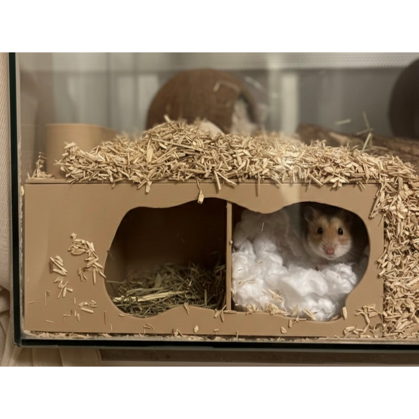 Toca Hamster Subterrânea 2 Câmaras  para Hamster Anão  - Casa Labirinto com Visor Esconderijo Subterrâneo em Oferta na Shopee