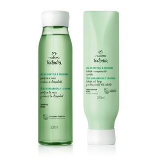 Shampoo e Condicionador para Cabelos Mistos ou Oleosos Hortelâ e Gengibre Detox Natura em Oferta na Shopee