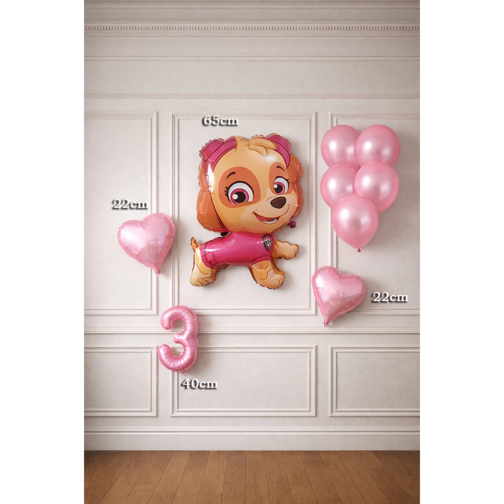 Kit 9 Balão Metalizado 1 SKYE PATRULHA CORPO + N° 40CM + 2 CORAÇÃO 22CM + 5 BEXIGA TUDO ROSA CLARO em Oferta na Shopee
