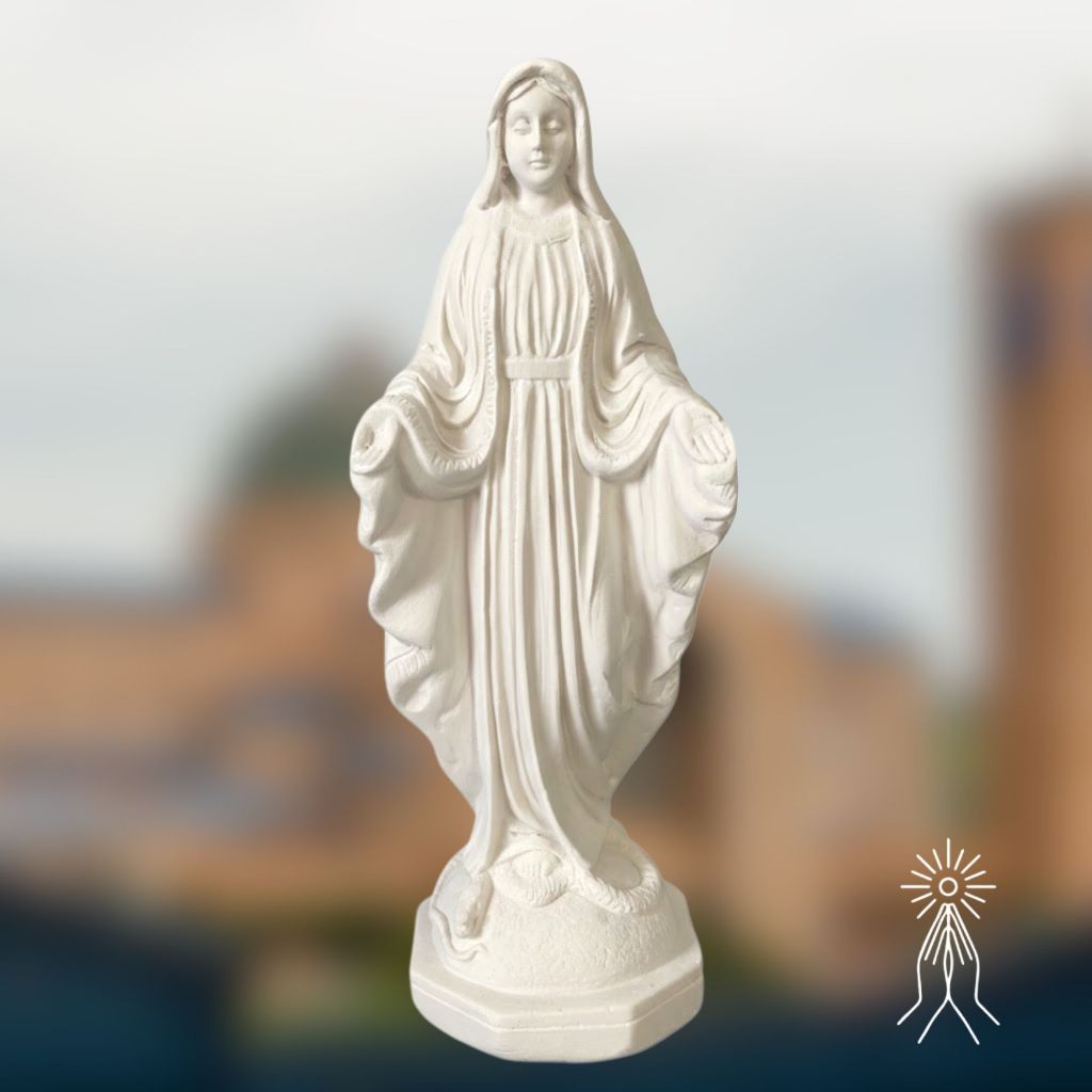 Kit 5 Imagem Nossa Senhora das Graças 17,5cm Gesso Cru Católica Esplendor Decoração Devocional