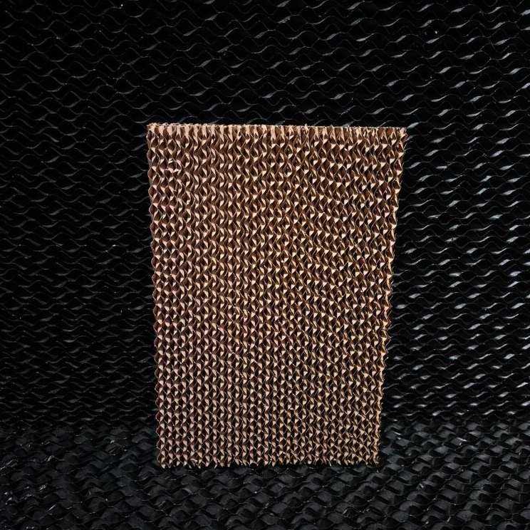 Placa / (A: 35 cm x L: 23,3 cm x E: 3,5 cm)
