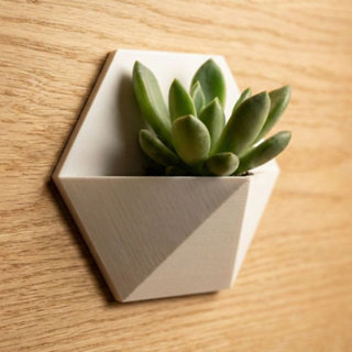 Vaso De Parede Geométrico Decorativo Para Plantas E Suculentas Casa Decoração em Oferta na Shopee
