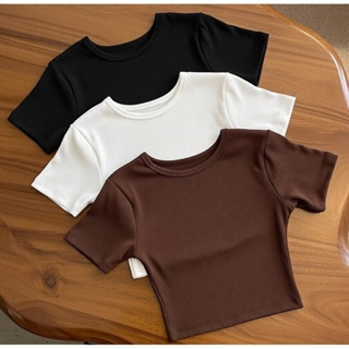 Kit 5 Cropped Manga Curta Canelado Manguinha Gola Redonda Ribana Canelada Algodão Blusinha Curta Camiseta Básica Cores em Oferta na Shopee