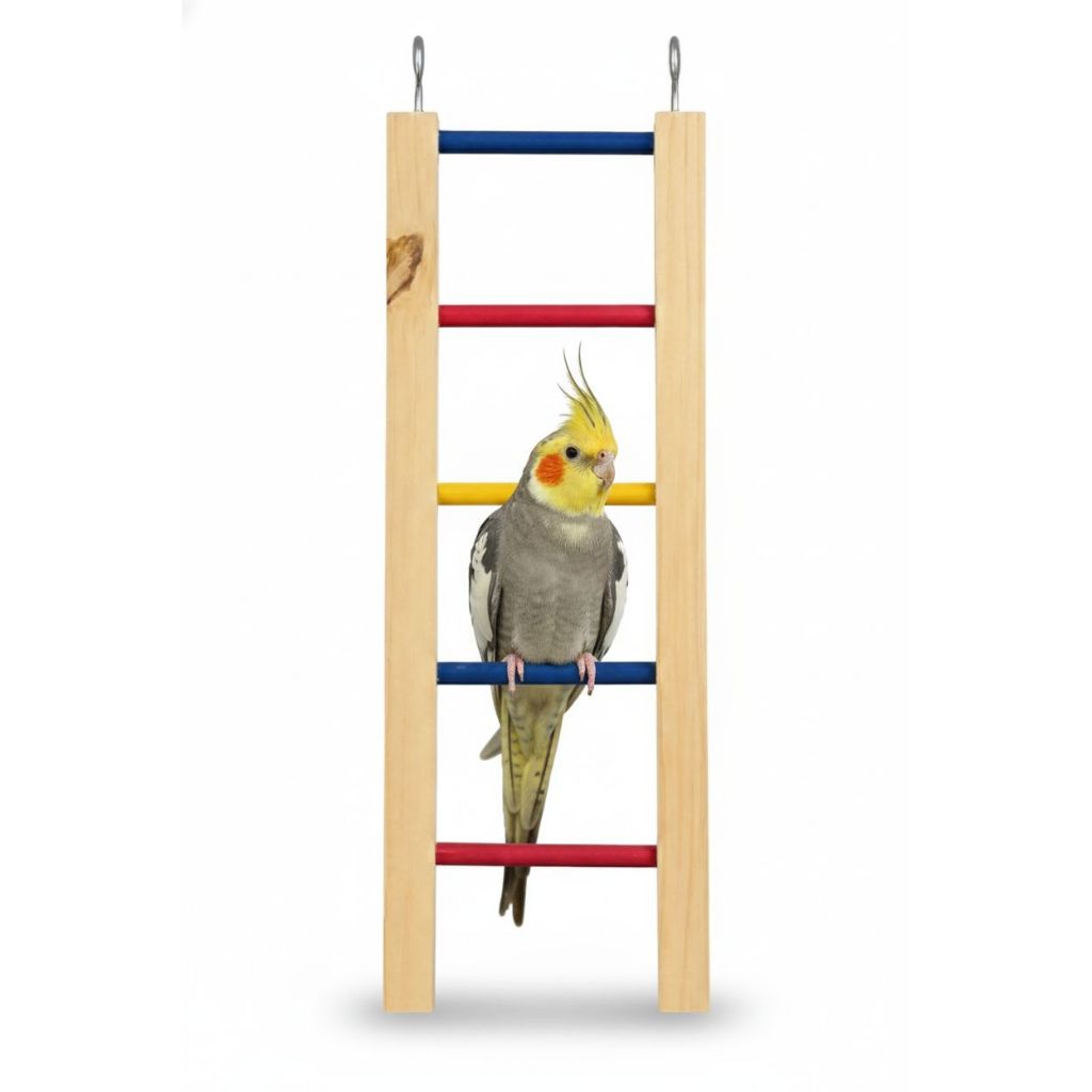 Brinquedo Escada 40CM Colorido Para Calopsita Periquito Agaporni Red Rump E OUTROS