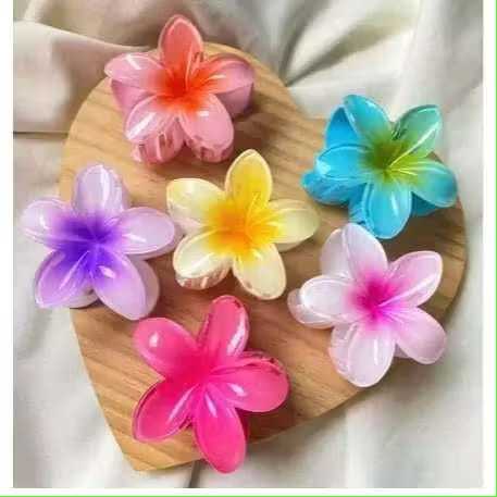 Prendedor de Cabelo com Clip Flor Transparente, Estilo Coreano, Acessório Feminino em Oferta na Shopee