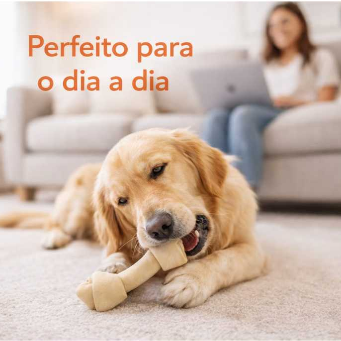 Osso Natural 8–9 LBF Dog’s Mastigável Bovino para Cães de Grande Porte