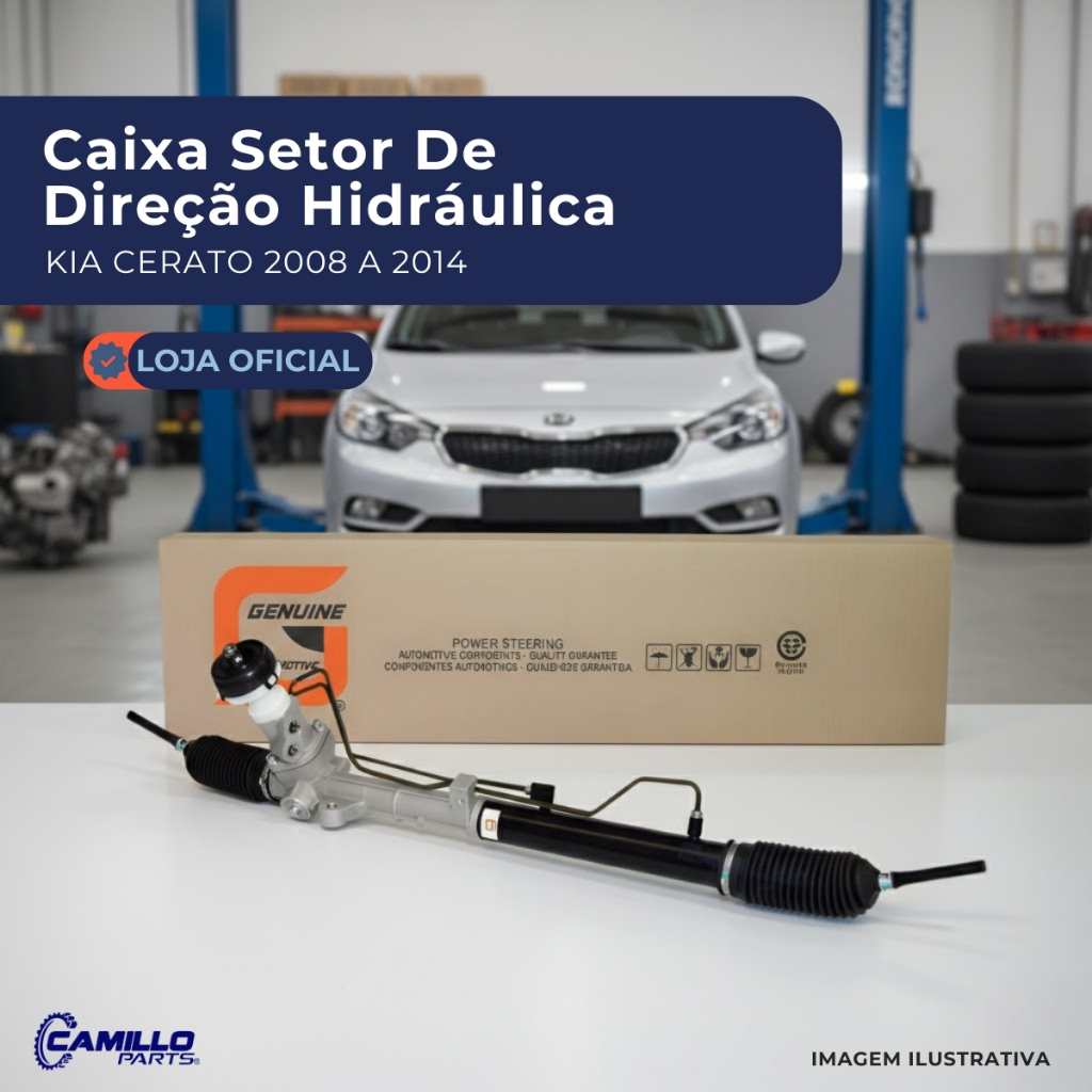 Caixa Setor de Direção Hidráulica Kia Cerato 2008 2009 2010 2011 2012 2013 2014 Genuine Automotive