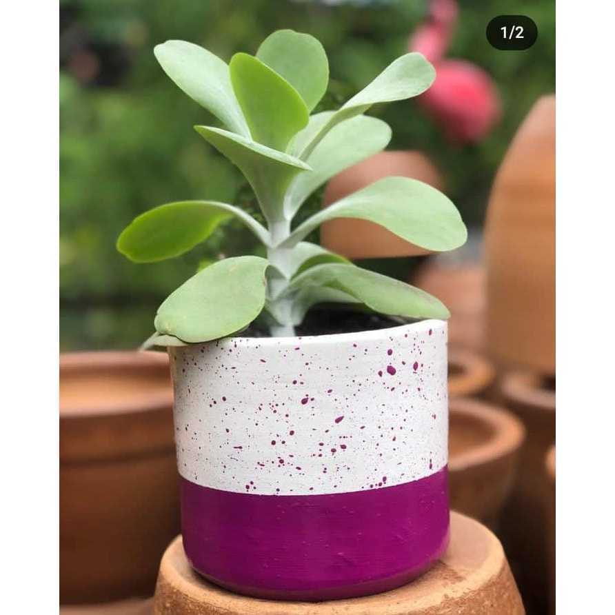 kit Vaso de barro personalizado/vaso de barro pintado/ vaso para decoração personalizado