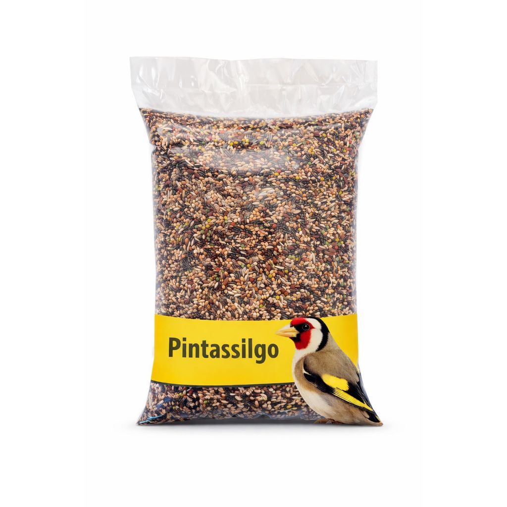 Pintassilgo Tarim sementes premium e selecionadas -  granel  até 2kg
