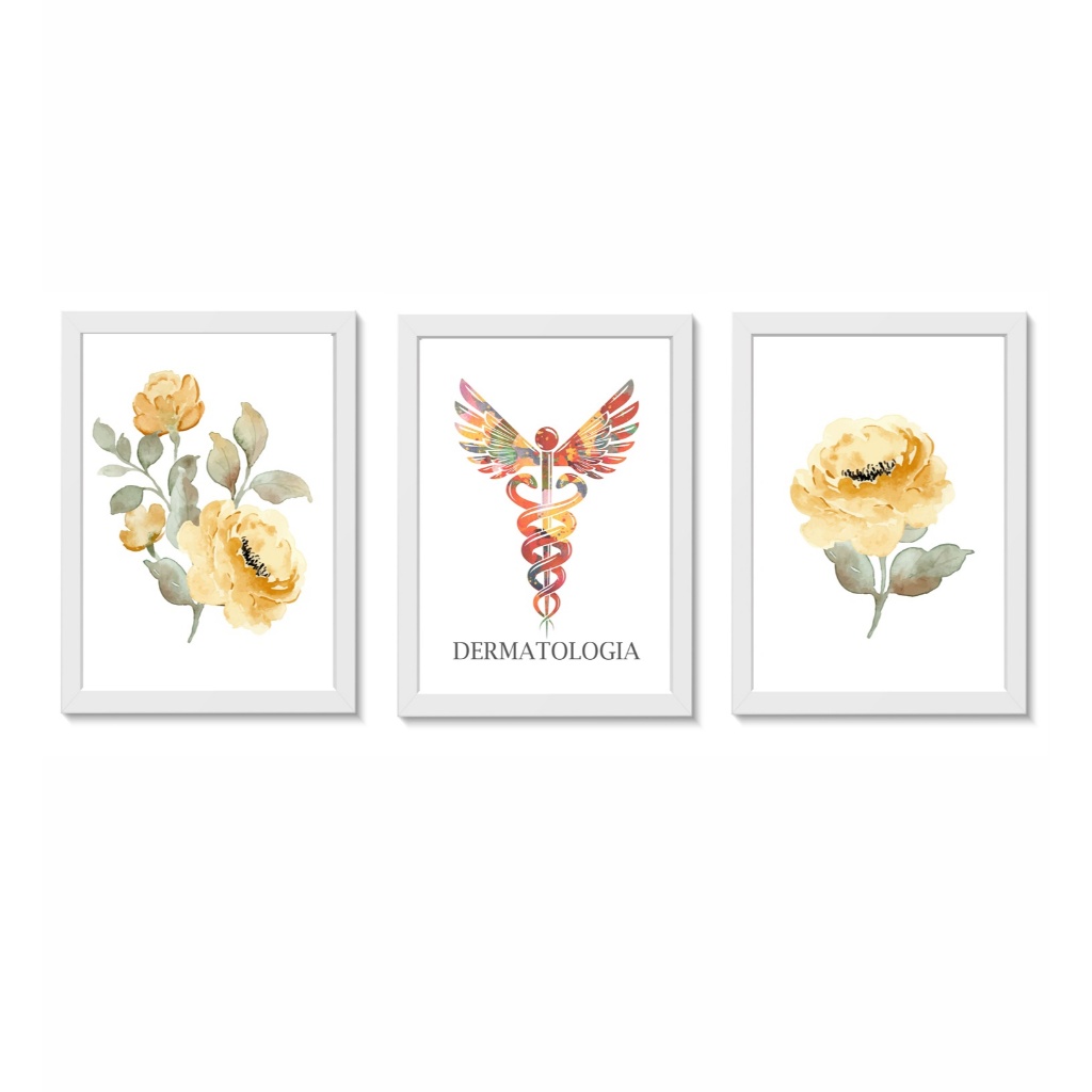 Kit 3 Quadros Decorativos Dermatologia Flores Medicina Molduras 20x30cm Madeira Vidro Cor Brancas