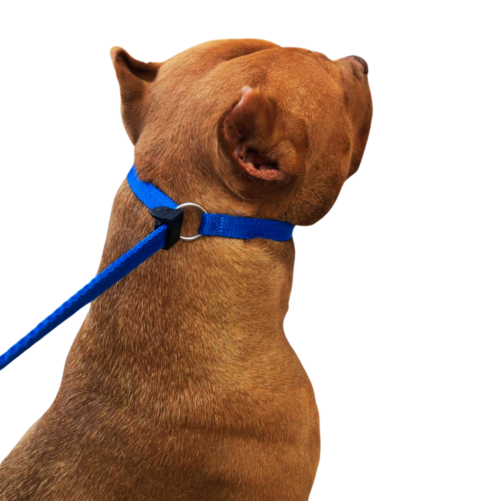 Guia unificada de adestramento e passeio para cães todos os portes com trava de segurança com 1.80m