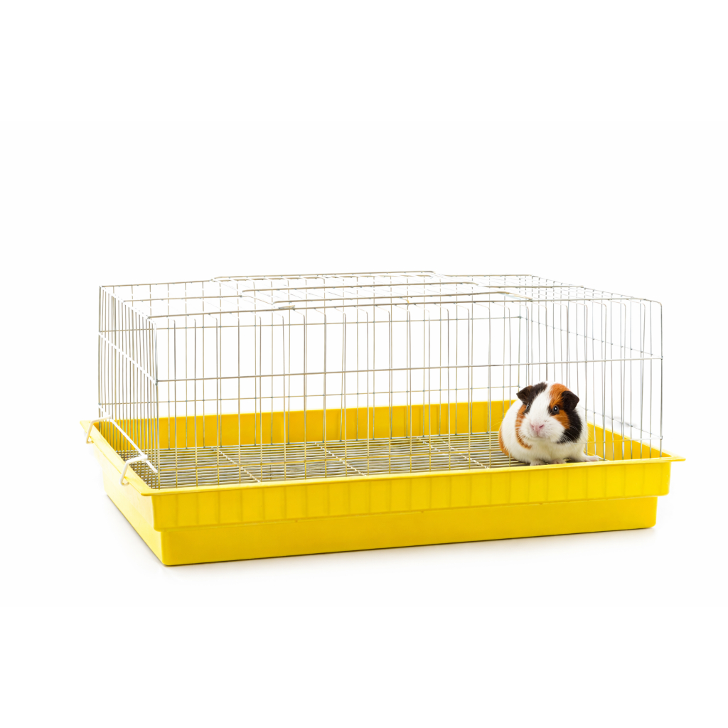 Gaiola Porquinho da Índia Mini Coelho Chinchila Pets Roedores Completa Com Rodinha e Garrafinha Água