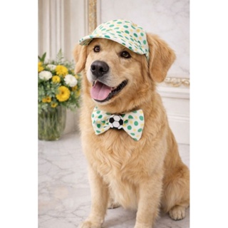 Boné Pet Verde Amarelo Copa + Gravata Borboleta Kit PP ao GG Chapéu para Cachorro e gato em Oferta na Shopee