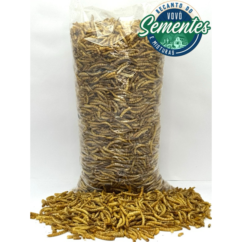 250G Tenebrio Molitor Desidratado Inseto PETISCO Proteína Pura P/ Aves Roedores Réptil