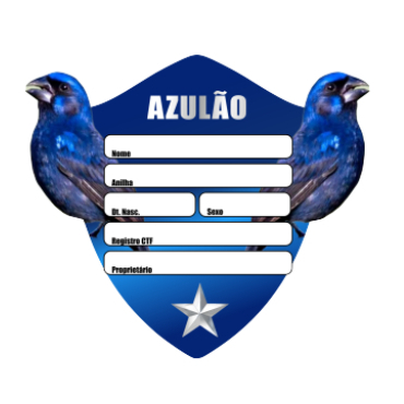 Kit placa identificação de luxo pássaro azulão macho e fêmea personalizada para gaiola a prova d'agua impermeável