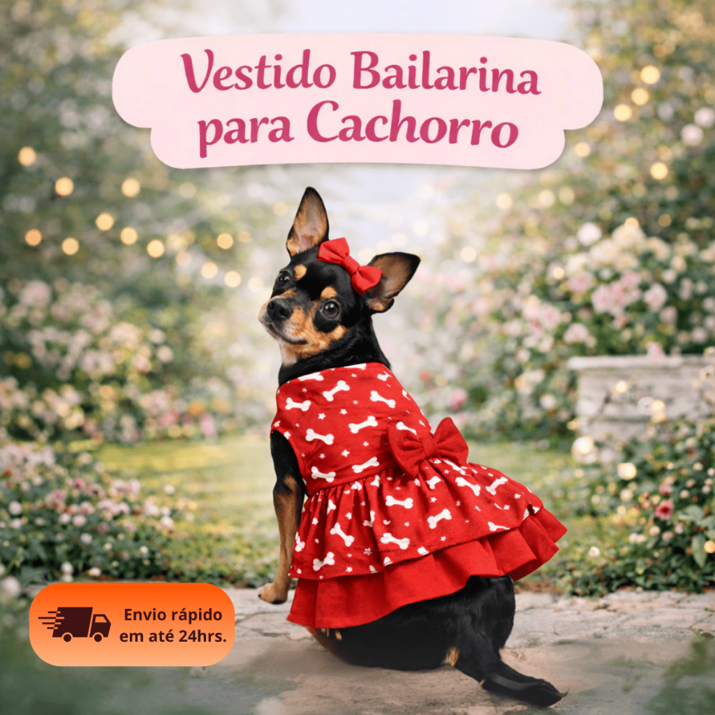 Vestido Pet Bailarina Para Shih Tzu Femêa | Roupa Feminina Confortável e Delicada
