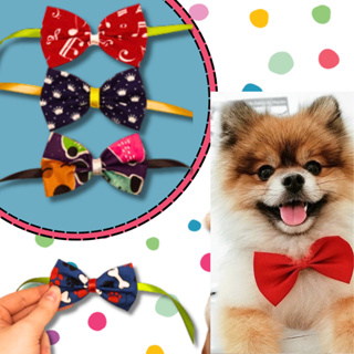 Kit Com 20 Gravata Borboleta Pet Ajustável em Tecido – Cores Sortidas | Acessório Estiloso para Cães e Gatos em Oferta na Shopee