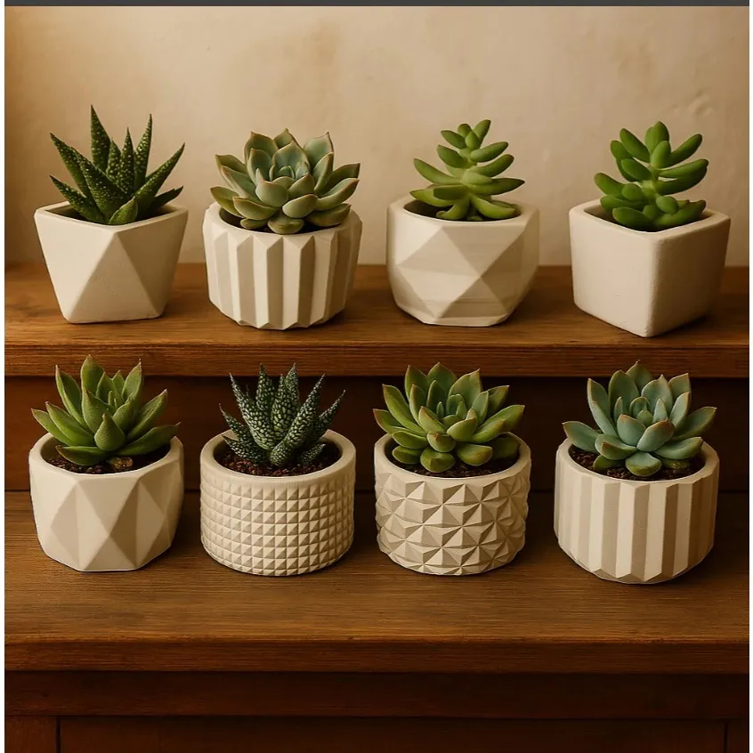 Kit 8 Vasinhos Decoração De Gesso Para Cactus E Suculentas Plantas