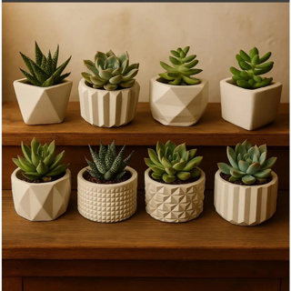 Kit 8 Vasinhos Decoração De Gesso Para Cactus E Suculentas Plantas em Oferta na Shopee