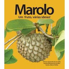 marolo: um fruto, várias ideias! (seminovo)