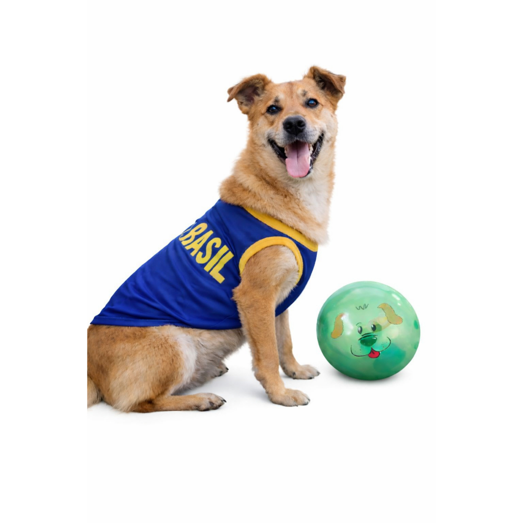 Roupinha Pet Brasil Camisa Copa Cães e Gatos Tamanho 1 Ao 5 Roupa Pet Brasil Golden Pastor Alemao