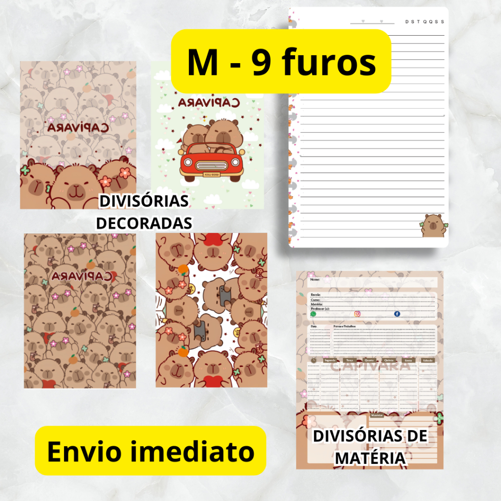 REFIL 50 FOLHAS PARA CADERNO DE DISCO CAPIVARA COLORIDO 9 FUROS E KIT DIVISÓRIA