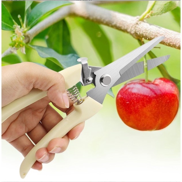 Tesoura de Podar Jardim Plantas 18cm Alicate Ferramentas Jardinagem Plantinhas Tesouras Artigos de Jardim Clink
