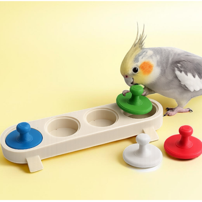 Brinquedo de Forrageamento Educativo Para Aves – Interativo com Tampas Coloridas