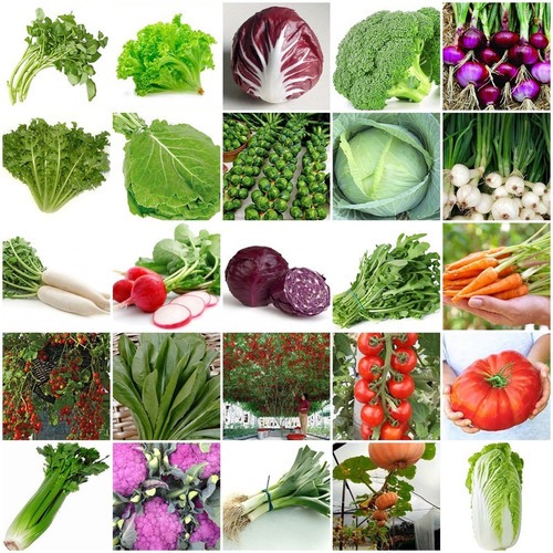 Kit 12 Mil Sementes De Verduras E Legumes 47 Variedades