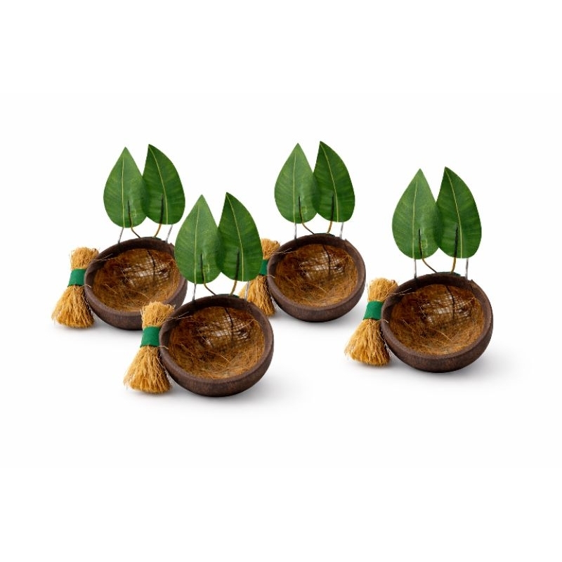 Ninho Para Coleiro Papa Capim e aves de pequeno porte kit com 4 unidades em Oferta na Shopee