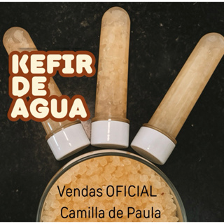 kefir Tibico Natural em Oferta na Shopee