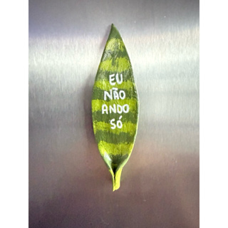 Imã de geladeira Folha da espada de São Jorge 11cm em cerâmica fria em Oferta na Shopee