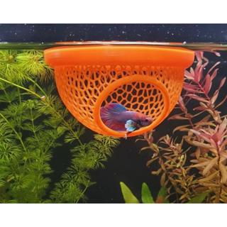 Esconderijo Flutuante para Peixes, Toca para Aquário em Oferta na Shopee