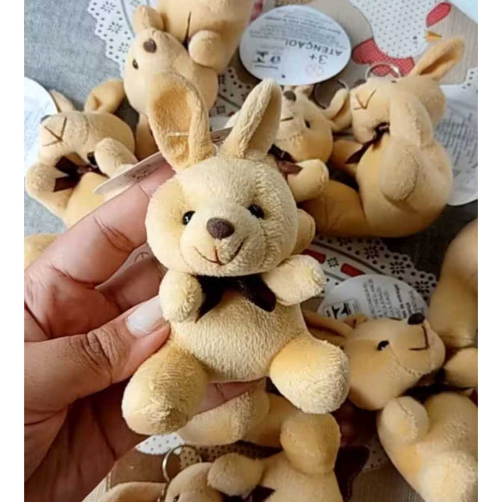 Chaveiro Coelhinho de Pelúcia 13cm – Lembrancinha de Páscoa Fofa (Cor e Modelo Sortidos) em Oferta na Shopee