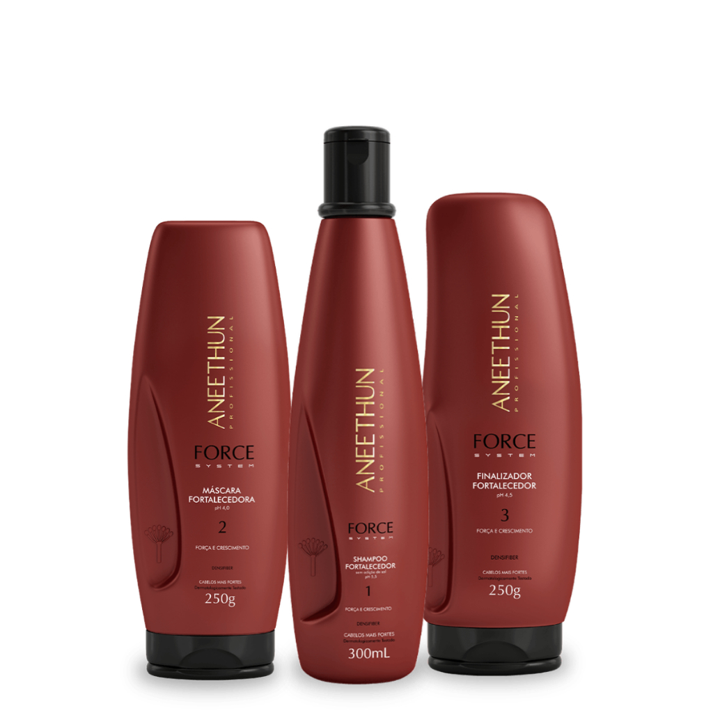 Aneethun Kit Shampoo Force System 300ML, Máscara Force 250G e Finalizador Force 250G