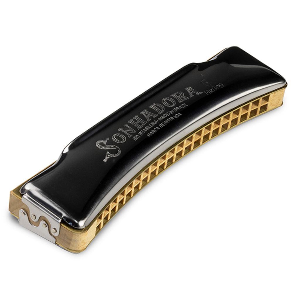 Gaita De Boca Hering Dó 8340c Sonhadora 40 Orifícios em Oferta na Shopee