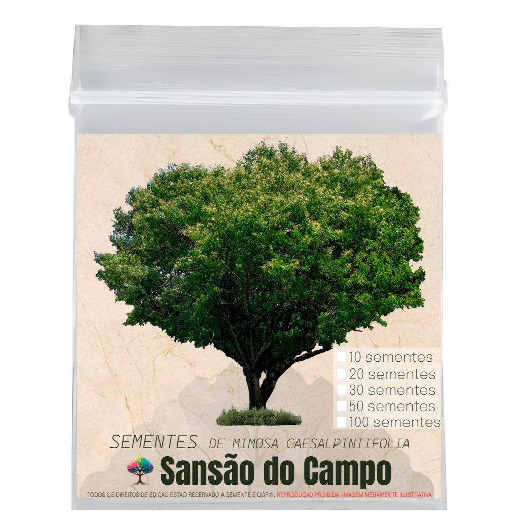 Sementes para Árvores, cerca viva e mudas de Sansão do Campo Mimosa caesalpiniifolia
