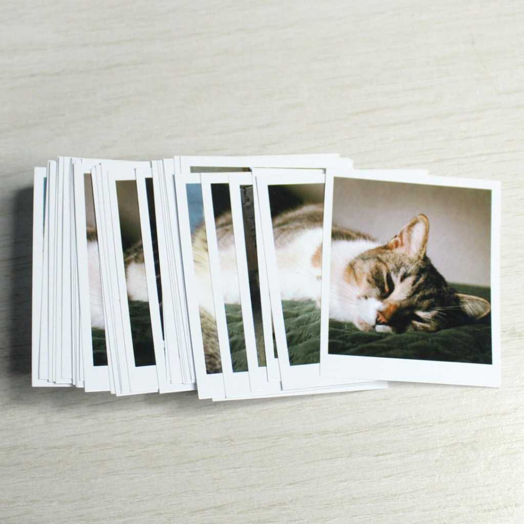 Mini Fotos 90 Unidades Personalizadas - Cabe na capinha do celular - Sem legenda - Envio Rápido