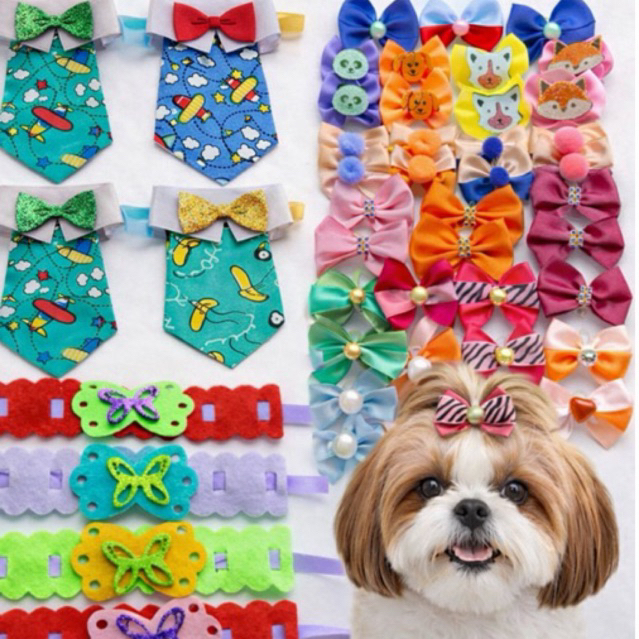 Kit Acessórios Pet 140 Peças – Laços Pet Topete, Gravatas pet, Adesivos pet e Passa Fitas pet