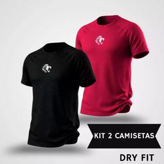 Kit 2 Camisas Masculina Dry Fit Academia Treino Fitness Corrida Esporte Respirável  Secagem Rápida em Oferta na Shopee