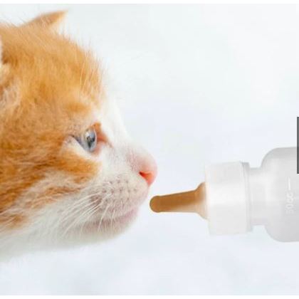 Detalhes do Mamadeira Pra Cachorros Cães Gatos Filhotes