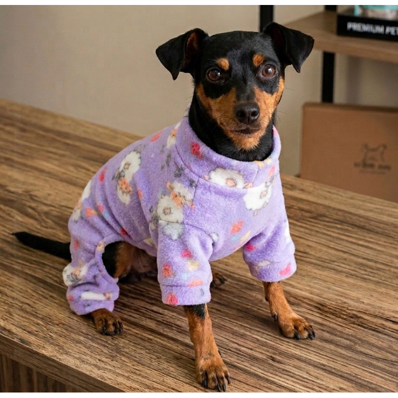 Kit macacão Pet + Brinde - macacão para macho e fêmea, cachorros porte pequeno/médio. Roupa Pet para cachorros e gatos