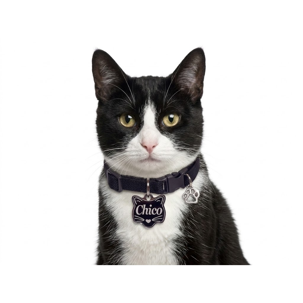 Plaquinha de Identificação para gatos com coleira modelo gatinho